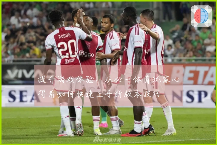 提升游戏体验，从必一体育玩家心得看如何快速上手新版本技巧