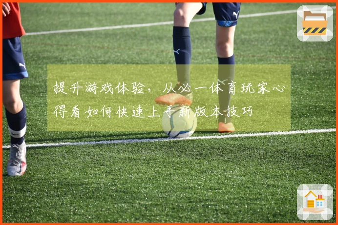 提升游戏体验，从必一体育玩家心得看如何快速上手新版本技巧