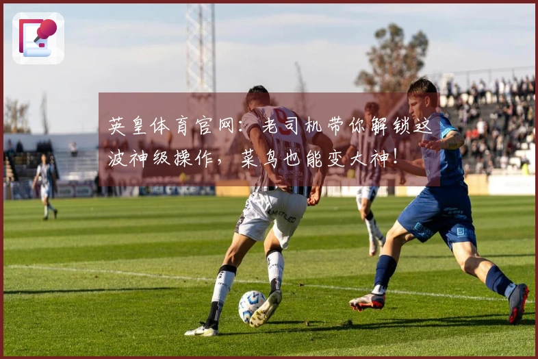 英皇体育官网：老司机带你解锁这波神级操作，菜鸟也能变大神！